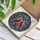 Nature Lovers' Tiffany Stained Glass Embracing Cardinals Winter Berries Mosaic Art Stained Glass Suncatcher - 5_sjX71Ubg