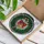 Holiday Enthusiasts' Intricate Jewel Tone Tiffany Stained Glass Candy Cane Holly Wreath Design Stained Glass Suncatcher - 3