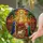 Faithful Art Lovers' Jewel Tone Stained Glass Joseph Mary Lamb Radiant Star Desert Mosaic Stained Glass Suncatcher - 2