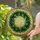 Holiday Enthusiasts' Glowing Tiffany Stained Glass Christmas Wreath Ruby Red Emerald Green Holly Botanical Mosaic Stained Glass Suncatcher - 2