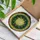 Holiday Enthusiasts' Glowing Tiffany Stained Glass Christmas Wreath Ruby Red Emerald Green Holly Botanical Mosaic Stained Glass Suncatcher - 3