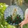 Holiday Enthusiasts' Tiffany Stained Glass Glowing Candles Holly Berries Emerald Ruby Gold Mosaic Stained Glass Suncatcher - 0K5YpiWwnK