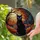 Cat Lovers' Tiffany Stained Glass Black Cat Autumn Forest Moon Artwork with Teal Orange Red Jewel Tones Stained Glass Suncatcher - 2