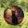 Cat Lovers' Tiffany Stained Glass Black Cat Autumn Forest Moon Artwork with Teal Orange Red Jewel Tones Stained Glass Suncatcher - 1