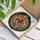 Cat Lovers' Intricate Tiffany Stained Glass Calico Cat, Red Bow, Festive Holly, Jewel Tone Mosaic Stained Glass Suncatcher - 7QxD9QmZKz