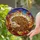 Nature Lovers' Tiffany Style Stained Glass Hedgehog Autumn Leaves Pinecones Jewel Tone Mosaic Pattern Stained Glass Suncatcher - 2