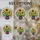 Art Lovers' Glowing Tiffany Stained Glass Sunflower Mosaic Jewel Tones Stained Glass Suncatcher - 4