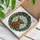 Highland Cow Lovers' Fluffy Amber Highland Cow Stained Glass Green Wreath Mosaic Stained Glass Suncatcher - xniEi8a1dO