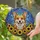 Corgi Lovers' Tiffany Style Stained Glass Corgi & Sunflower Mosaic in Jewel Tones Stained Glass Suncatcher - JvJOO2AmoL