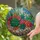 Succulent Lovers' Tiffany Style Stained Glass Emerald Coral Teal Succulent River Stone Mosaic Stained Glass Suncatcher - edgltkjj66