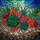 Succulent Lovers' Tiffany Style Stained Glass Emerald Coral Teal Succulent River Stone Mosaic Stained Glass Suncatcher - 5