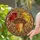 Art & Nature Enthusiasts' Glowing Tiffany Style Acorn Autumn Leaves Mosaic in Jewel Tones Stained Glass Suncatcher - 2