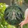 Nature & Fantasy Lovers' Emerald Sage Stained Glass Elven Woman Raven Forest Mosaic Stained Glass Suncatcher - 2