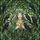 Nature & Fantasy Lovers' Emerald Sage Stained Glass Elven Woman Raven Forest Mosaic Stained Glass Suncatcher - 5