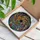 Art Lovers' Radiant Tiffany Style Stained Glass Sunburst Geometric Jewel Tone Mosaic Stained Glass Suncatcher - kAaPC9T5md
