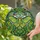 Nature Lovers' Vibrant Luna Moth Stained Glass Tiffany Style Lime Green Amber Foliage & Tendrils Stained Glass Suncatcher - 2