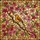 Nature Lovers' Intricate Stained Glass Songbird Cherry Blossom Pink Amber Green Jewel Tone Artwork Stained Glass Suncatcher - 5
