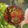 Nature Lovers' Glowingly Translucent Stained Glass Sleeping Fox Autumn Canopy Intricate Mosaic Stained Glass Suncatcher - 2