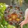 Autumn Lovers' Vibrant Stained Glass Pumpkin Fall Leaves Iridescent Sunburst Mosaic Stained Glass Suncatcher - 2