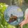 Vintage Train Enthusiasts' Tiffany Style Steam Locomotive Winter Mosaic Amber Blue Stained Glass Suncatcher - 2