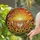 Nature & Art Enthusiasts' Vibrant Tiffany Stained Glass Leaping Foxes Sunflowers Autumn Sunset Mosaic in Orange Yellow Green Amber Brown Stained Glass Suncatcher - 2