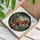 Dinosaur Art Lovers' Vibrant Stained Glass T-Rex Roar, Tiffany Style Jewel Tone Jungle Mosaic Pattern with Bold Black Lines Stained Glass Suncatcher - 3