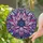 Art Lovers' Vibrant Tiffany Style Stained Glass Lotus Jewel Tone Bloom Mosaic Pattern Stained Glass Suncatcher - 2