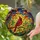 Nature Lovers' Ruby Red Cardinal Emerald Green Amber Tiffany Stained Glass Intricate Mosaic Stained Glass Suncatcher - 2