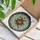 Art Lovers' Tiffany-Style Stained Glass Crimson Rose Emerald Green Leaves Starburst Mosaic Stained Glass Suncatcher - 3