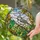 Nature Lovers' Vibrant Tiffany Stained Glass Titmouse Bird Intricate Gray Green Beige Mosaic Art Stained Glass Suncatcher - 5VPGYtJVVC