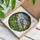 Nature Lovers' Vibrant Tiffany Stained Glass Titmouse Bird Intricate Gray Green Beige Mosaic Art Stained Glass Suncatcher - uVBic98bhX