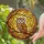 Owl Lovers' Stained Glass Autumn Forest Mosaic Amber Orange Creamy White Design Stained Glass Suncatcher - 2