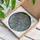 Nature Lovers' Tiffany Style Stained Glass Wisteria Vine Floral Intricate Mosaic Vibrant Jewel Tones Green Lavender Violet Stained Glass Suncatcher - Dz6aisUIPH