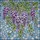 Nature Lovers' Tiffany Style Stained Glass Wisteria Vine Floral Intricate Mosaic Vibrant Jewel Tones Green Lavender Violet Stained Glass Suncatcher - 5