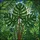 duiyfppz/products/693fbdbf279d93224589306d/gallery/KKyGAMuBrA