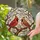 Nature Lovers' Vibrant Tiffany Stained Glass Cardinal Birds Cherry Blossoms Intricate Pattern Stained Glass Suncatcher - 2