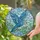 Bird Lovers' Intricate Glowing Blue Teal Stained Glass Budgerigar Flight Mosaic Stained Glass Suncatcher - 2