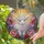 Whimsical Art Lovers' Tiffany Style Stained Glass Lamb Floral Mosaic Radiant Jewel Tone Sky Stained Glass Suncatcher - 2