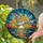 Nature Admirers' Stained Glass Seagull Sunset Ocean Mosaic Art, Tiffany Style Jewel Tones Teal Blue Orange Stained Glass Suncatcher - 2