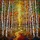 Nature Lovers' Tiffany Stained Glass Autumn Birch Forest Path Jewel Tone Intricate Pattern Stained Glass Suncatcher - 5