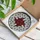 Art Lovers' Intricate Ruby Red Stained Glass Geometric Faceted Star Mosaic Stained Glass Suncatcher - 4lS2iw5gTm