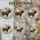 Holiday Art Admirers Intricate Stained Glass Moose Festive Jewel Tone Winter Scene Stained Glass Suncatcher - 4