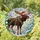 Holiday Art Admirers Intricate Stained Glass Moose Festive Jewel Tone Winter Scene Stained Glass Suncatcher - 1