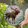 Holiday Art Admirers Intricate Stained Glass Moose Festive Jewel Tone Winter Scene Stained Glass Suncatcher - 2