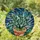 Nature Lovers' Glowing Stained Glass Emerald Terracotta Teal Beaded Succulent Mosaic Pattern Stained Glass Suncatcher - 1