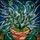 Nature Lovers' Glowing Stained Glass Emerald Terracotta Teal Beaded Succulent Mosaic Pattern Stained Glass Suncatcher - 5