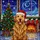 Pet Parents' Vibrant Golden Retriever Christmas Stained Glass Jewel Tone Winter Scene Stained Glass Suncatcher - 5