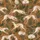 Sighthound & All Dog Breeds Playful Botanical Print Warm Meury Mesh Jumpsuit Satin Pajamas Set - 4