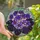 Floral Art Lovers' Glowing Stained Glass Bloomed African Violet Royal Purple Teal Lavender Golden Orange Mosaic Stained Glass Suncatcher - 1