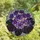 Floral Art Lovers' Glowing Stained Glass Bloomed African Violet Royal Purple Teal Lavender Golden Orange Mosaic Stained Glass Suncatcher - 4